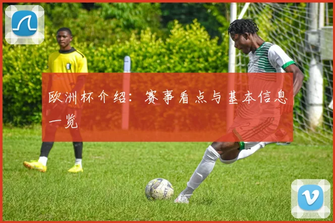 欧洲杯介绍:赛事看点与基本信息一览