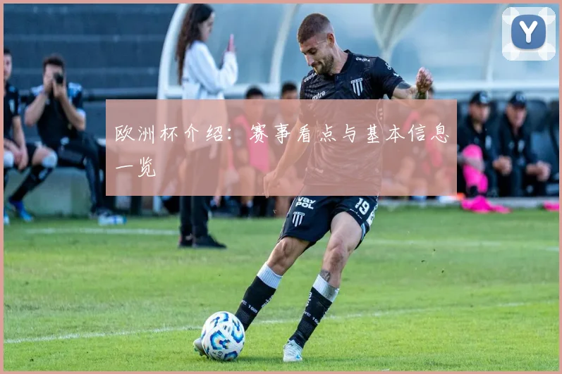 欧洲杯介绍:赛事看点与基本信息一览
