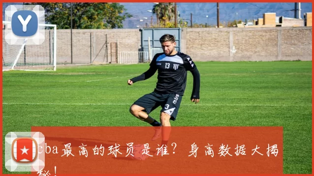 cba最高的球员是谁？身高数据大揭秘！