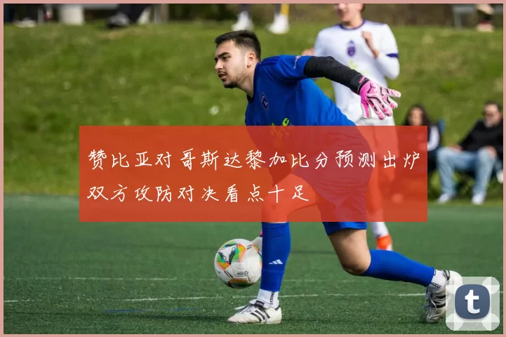 赞比亚对哥斯达黎加比分预测出炉双方攻防对决看点十足
